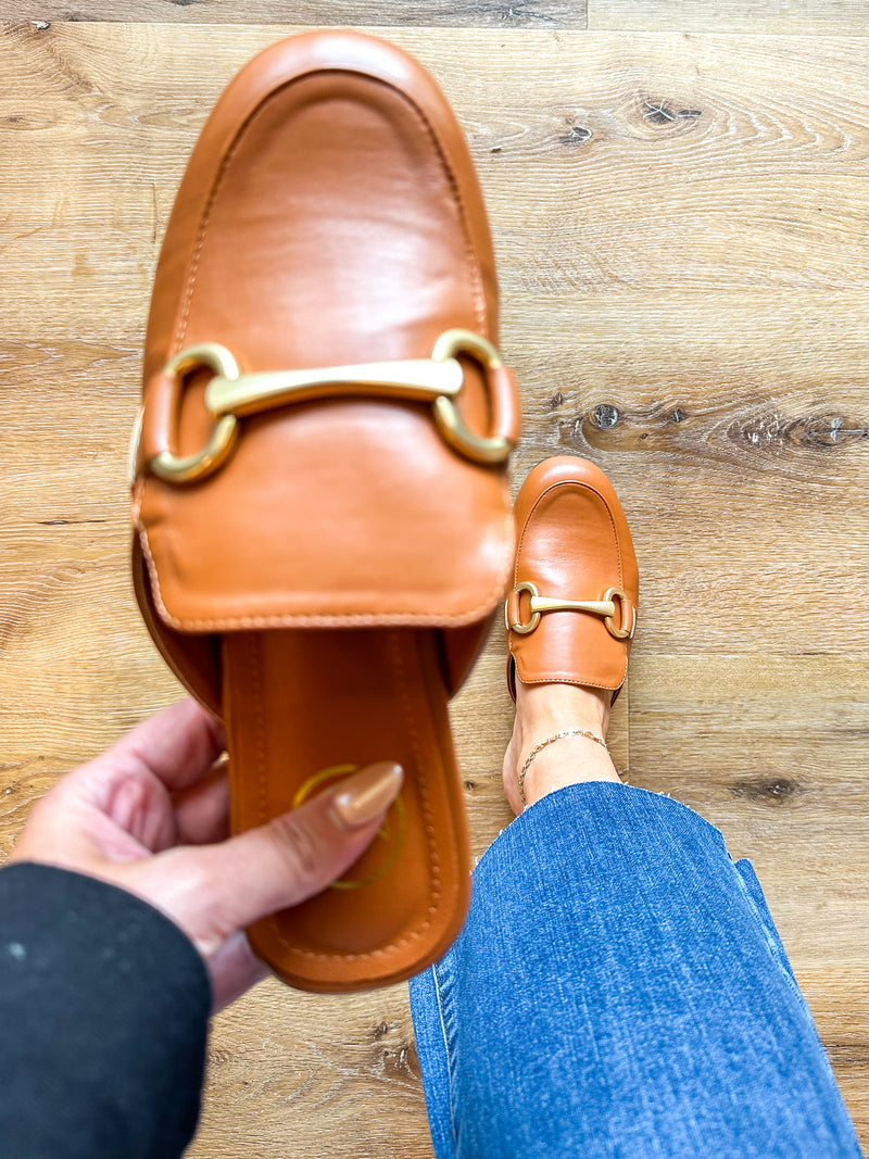 Camel Slides